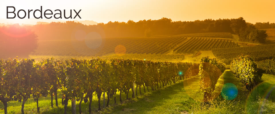 Bordeaux River Cruises