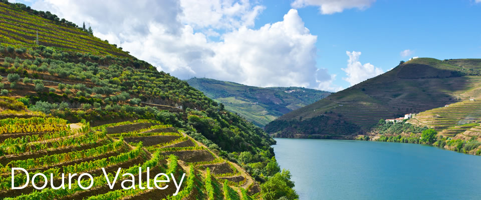 Douro Valley