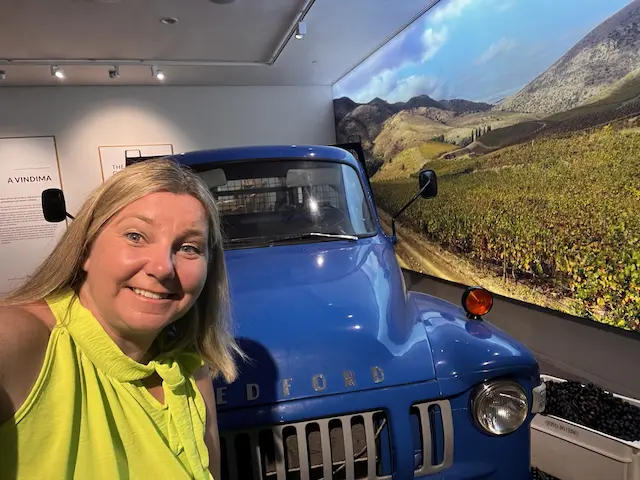 Interactive World of Wine museum experience in Vila Nova de Gaia, Porto
