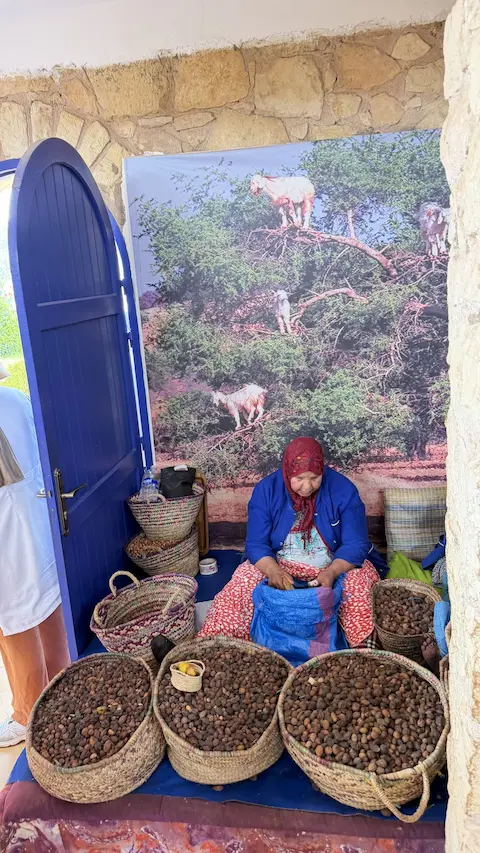 Gallery image 2