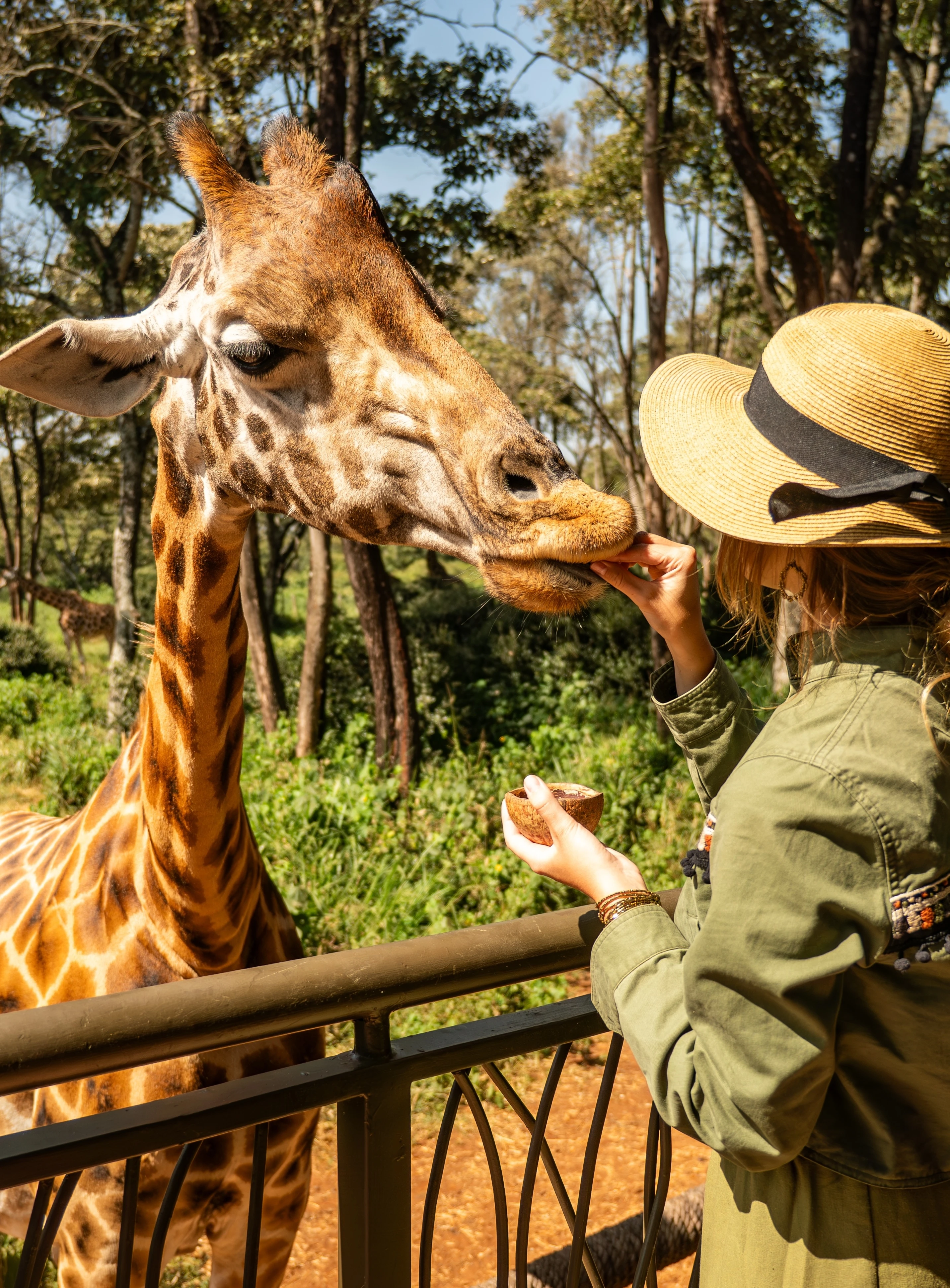 Escorted tours
