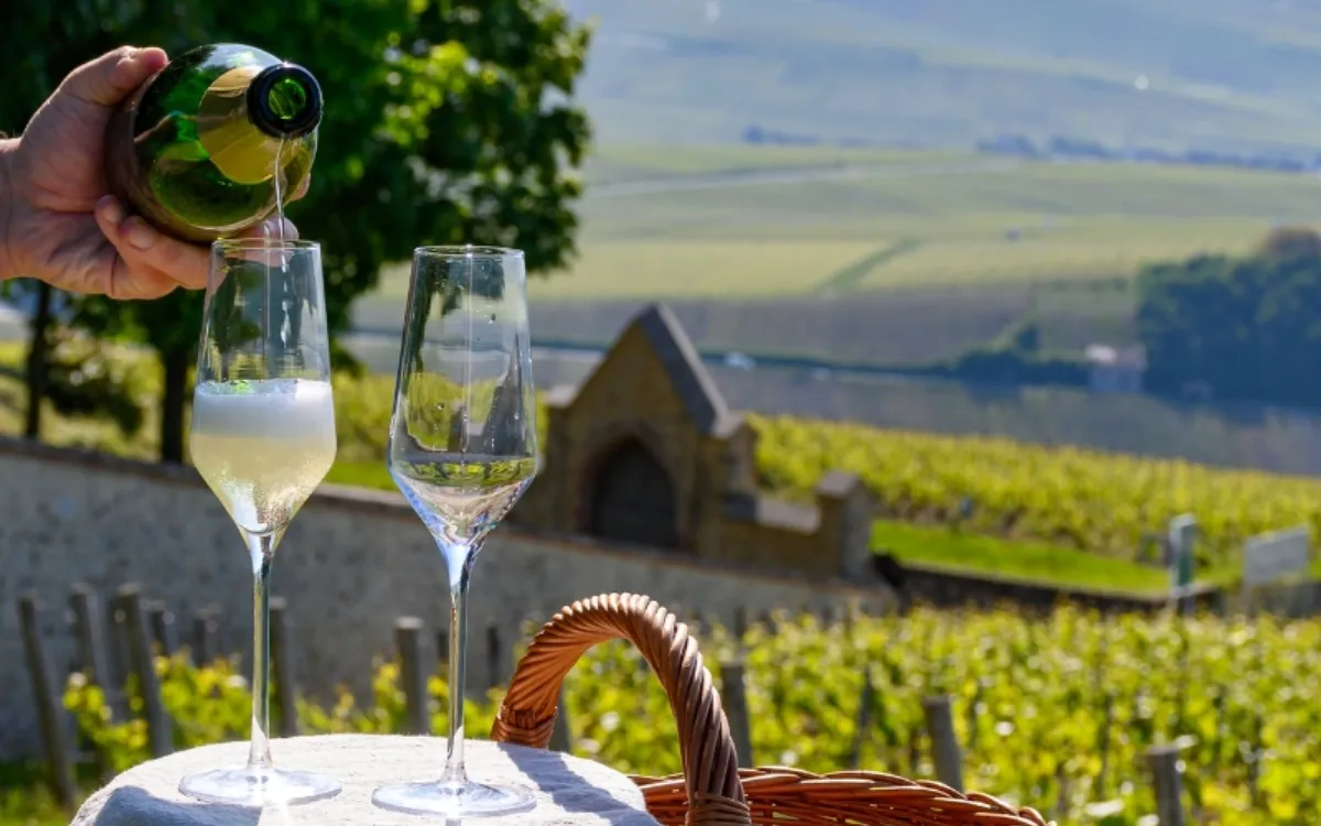 Themed river cruises