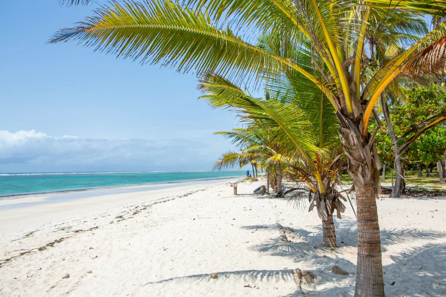 Kenya beach extension