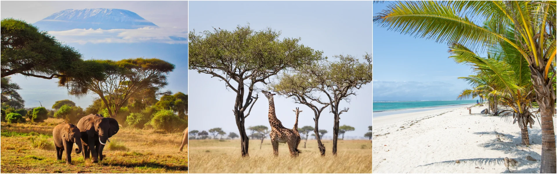 Kenya holidays including safari, the Maasai Mara and beach extensions
