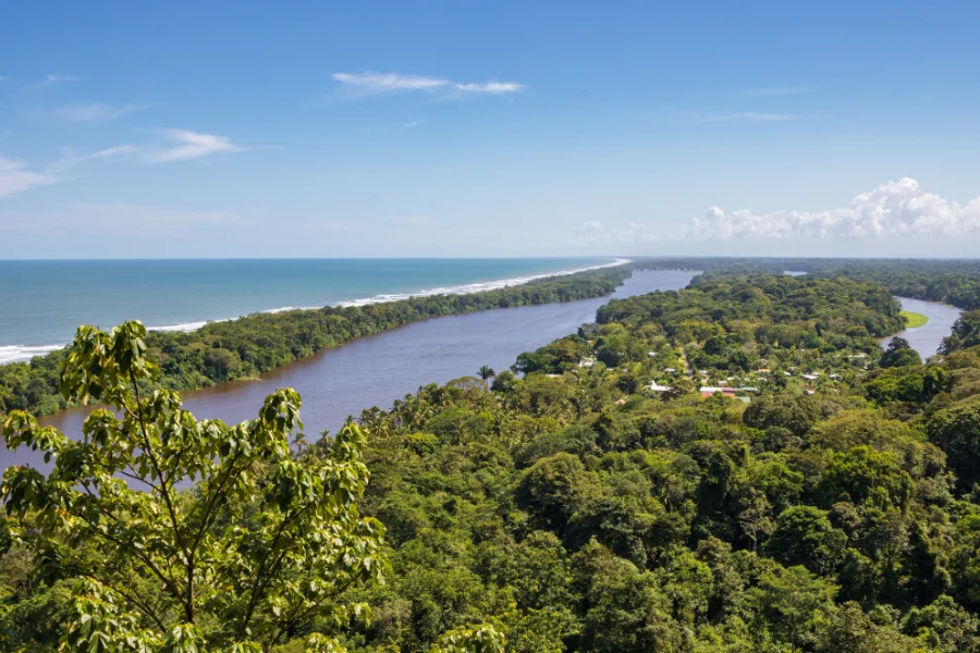 Tortuguero