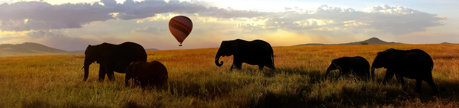 Kenya safari holidays including the Maasai Mara, Amboseli, luxury lodges, Zanzibar beach extensions, Mauritius, Maldives, South Africa and Thailand combinations