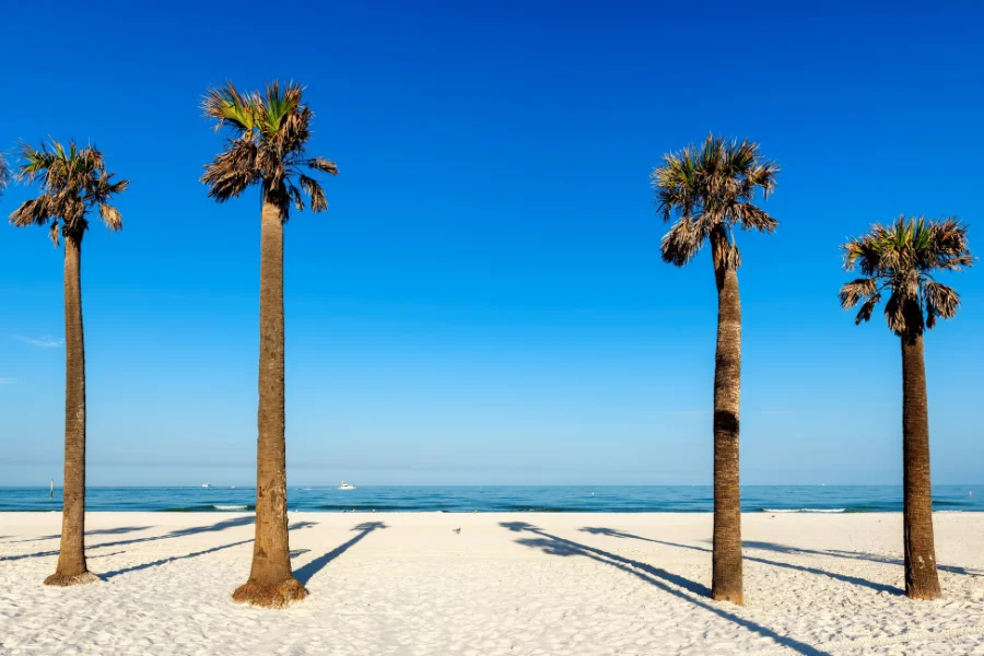 Florida Beaches