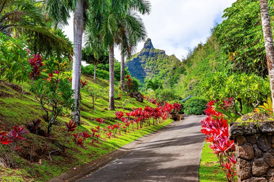 Kauai