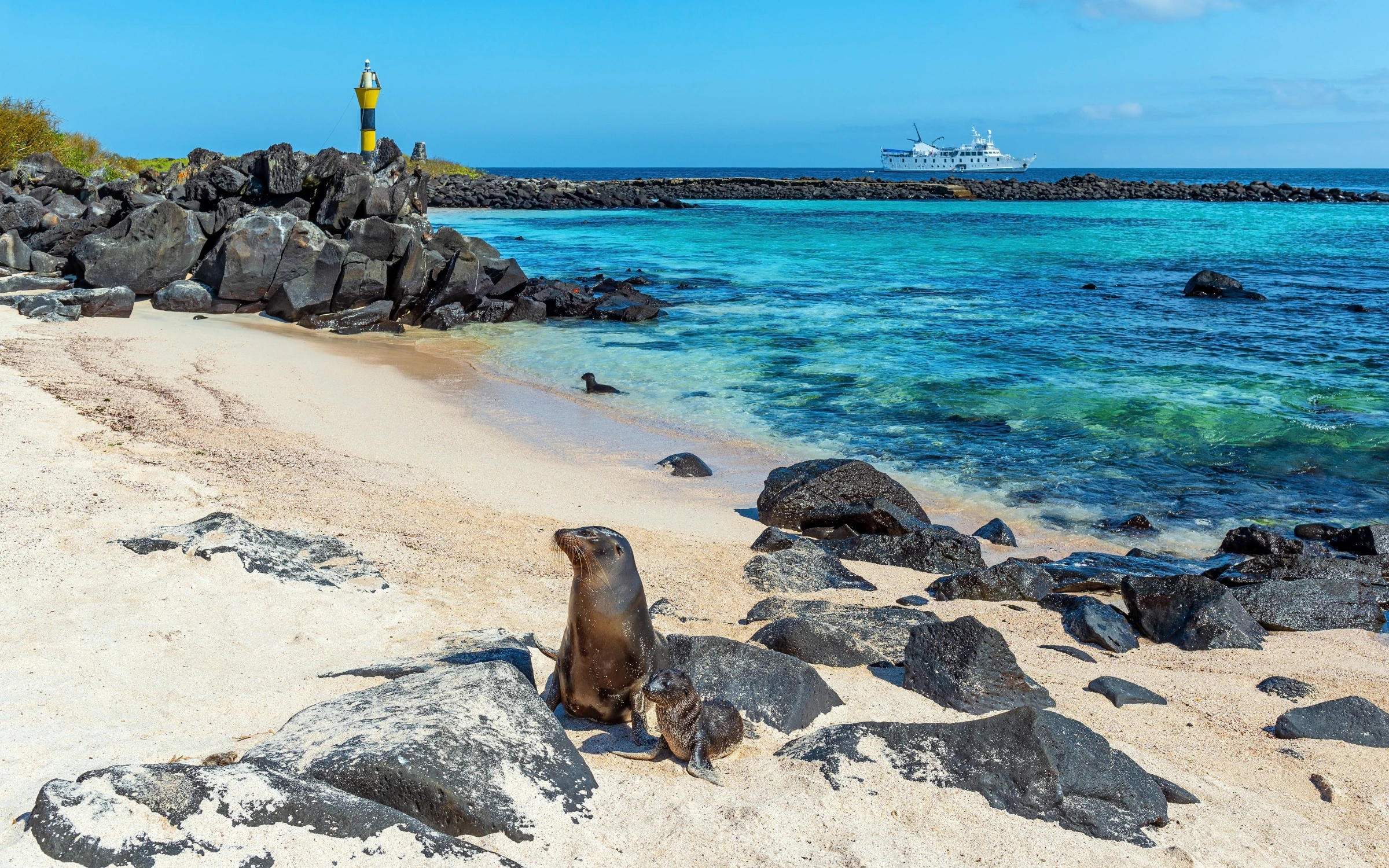 Galápagos expedition cruises
