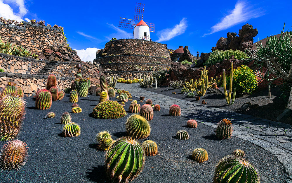 christmas cruises to the canaries