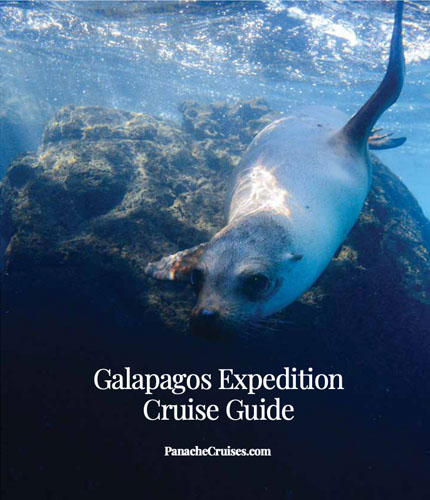 Galapagos Expedition Guide