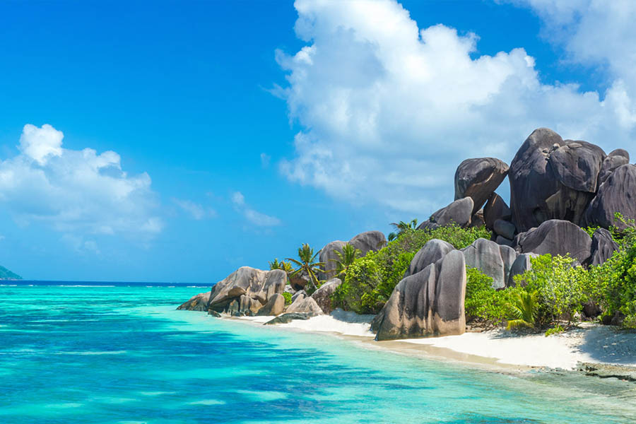 Seychelles Cruise