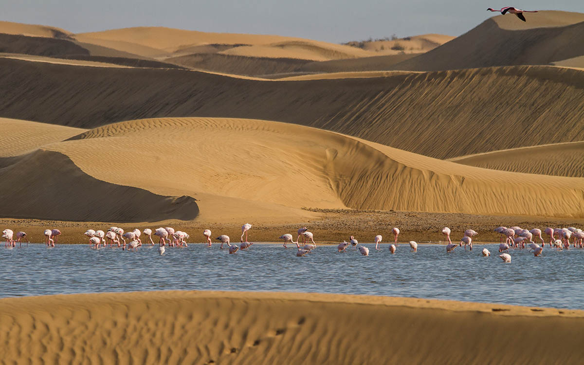 Walvis Bay