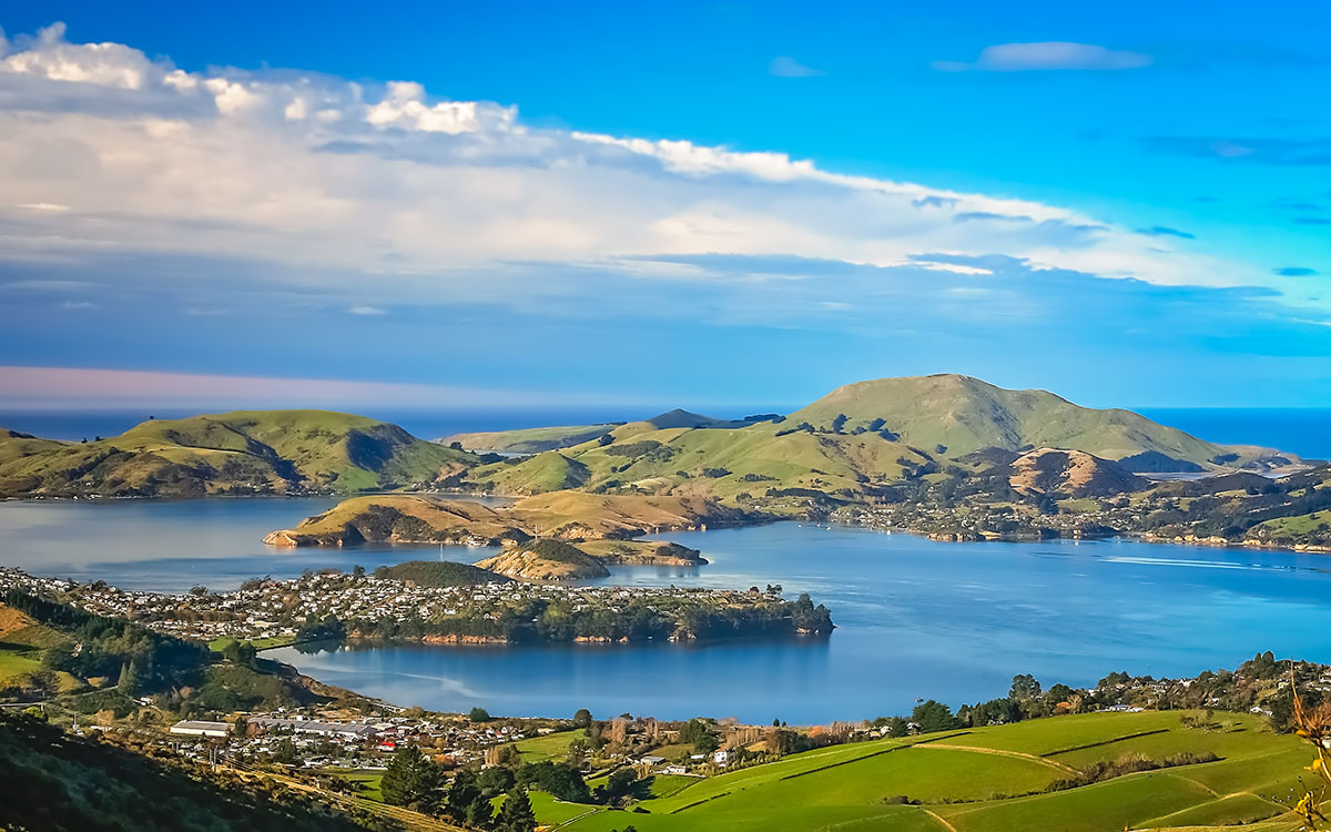 Dunedin