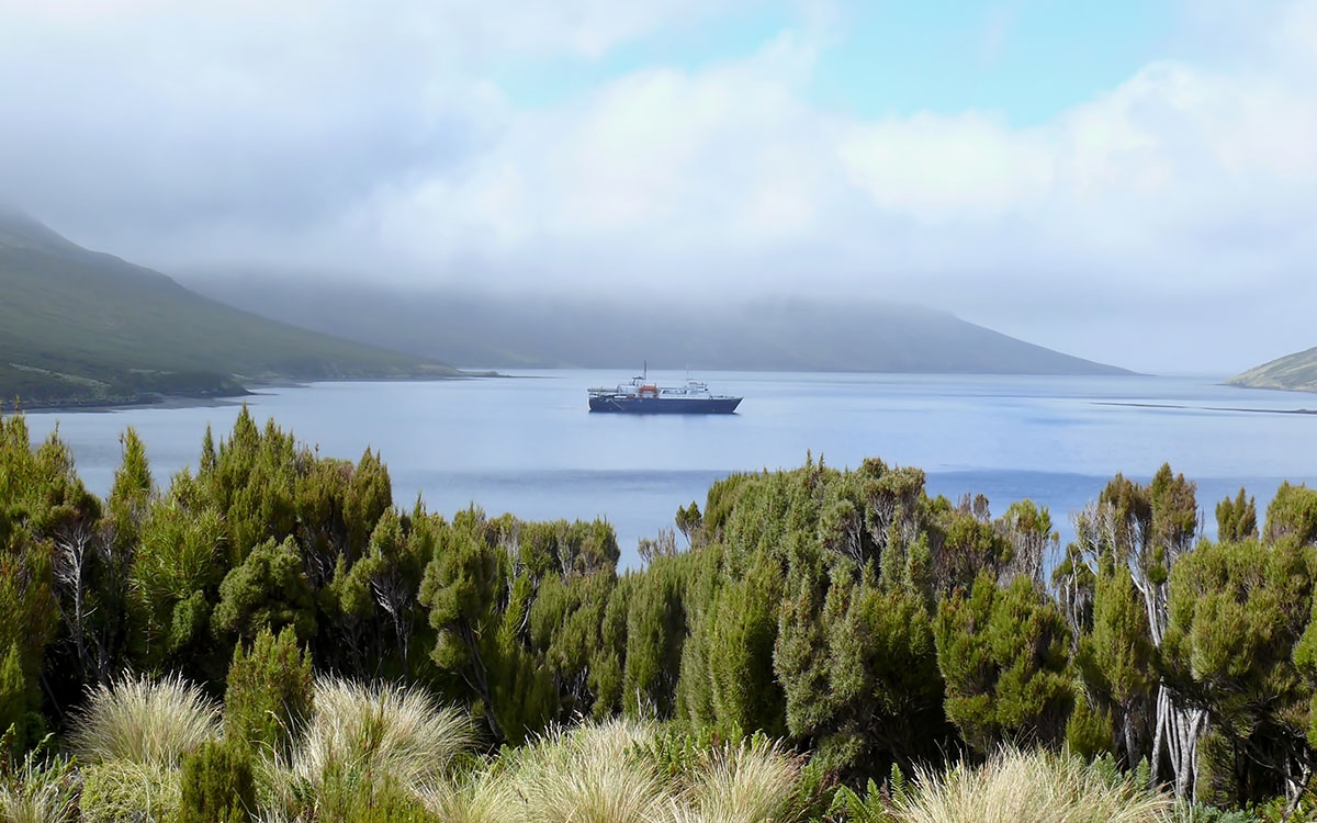 Campbell Island
