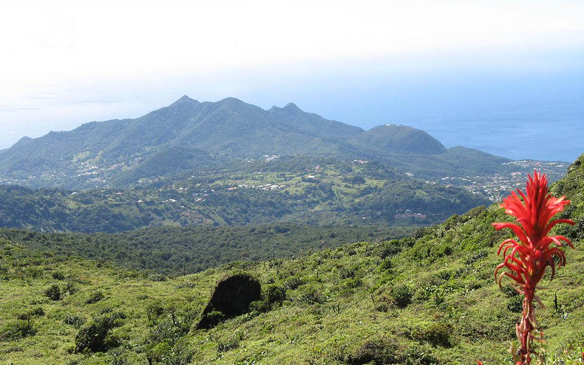 Soufrière