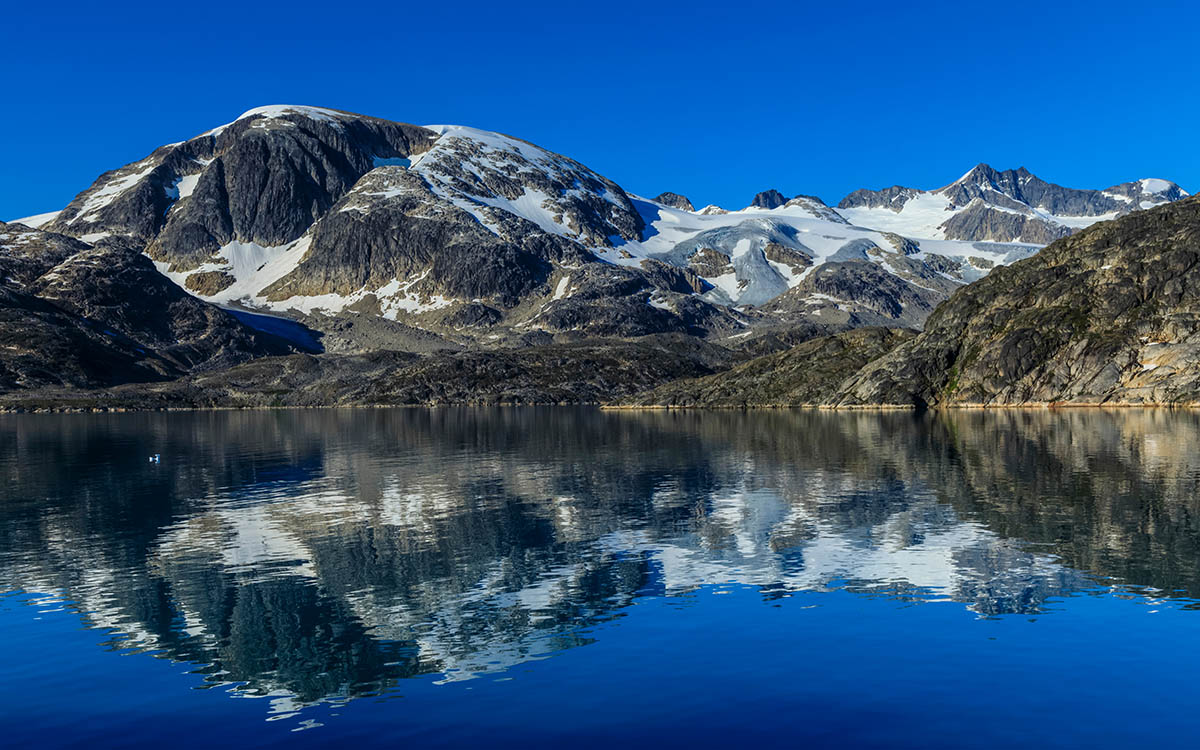 Skjoldungen
