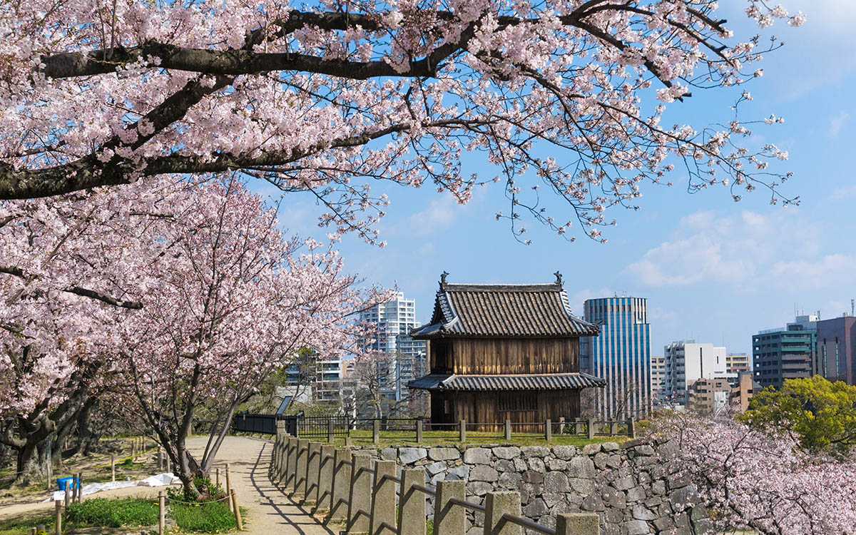 Maizuru