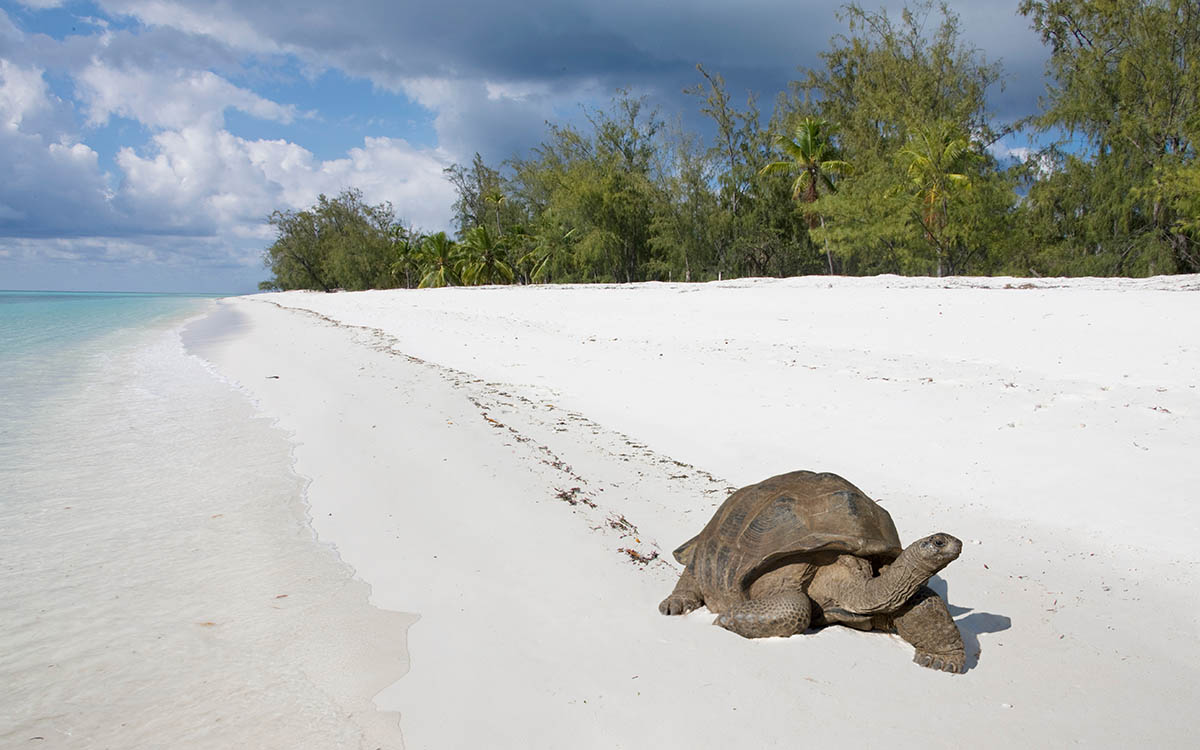 Aldabra Atoll